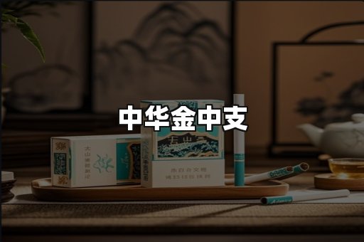 中华金中支